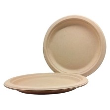 1500128-PLATO ECOLOGICO...