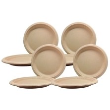 1500129-PLATO ECOLOGICO...
