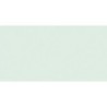 C200401754-PAPEL COLOR A4 IRIS 80g 100h VERDE PAST. precio por 1 unidades
