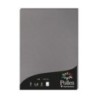 4283C-PAPEL CLAIREFONTAINE POLLEN A4 50h GRIS precio por 1 unidades
