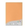 24208C-PAPEL CLAIREFONTAINE POLLEN A4 25h CLEME precio por 1 unidades