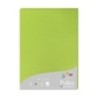 24215C-PAPEL CLAIREFONTAINE POLLEN A4 25h VERDE precio por 1 unidades
