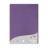 24216C-PAPEL CLAIREFONTAINE POLLEN A4 25h VIOLE precio por 1 unidades