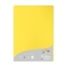 24217C-PAPEL CLAIREFONTAINE POLLEN A4 25h AMARI precio por 1 unidades