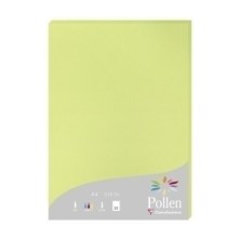 224205C-PAPEL...
