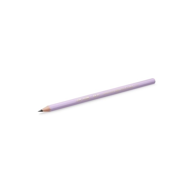 518307-LAPIZ BIC EVOLUTION PASTEL precio por 12 unidades