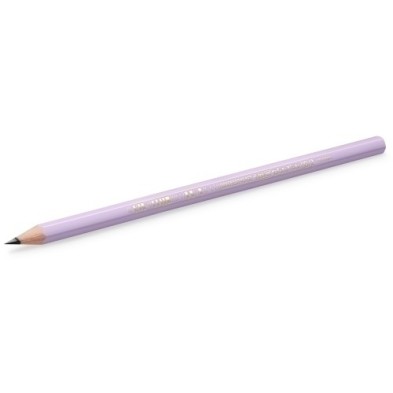 518307-LAPIZ BIC EVOLUTION PASTEL precio por 12 unidades