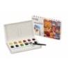 45210-ACUARELAS CARIOCA PLUS CAJA de 12 precio por 1 unidades