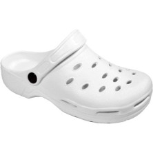 P2008 Nº43-ZUECO OUTAS CLOG...