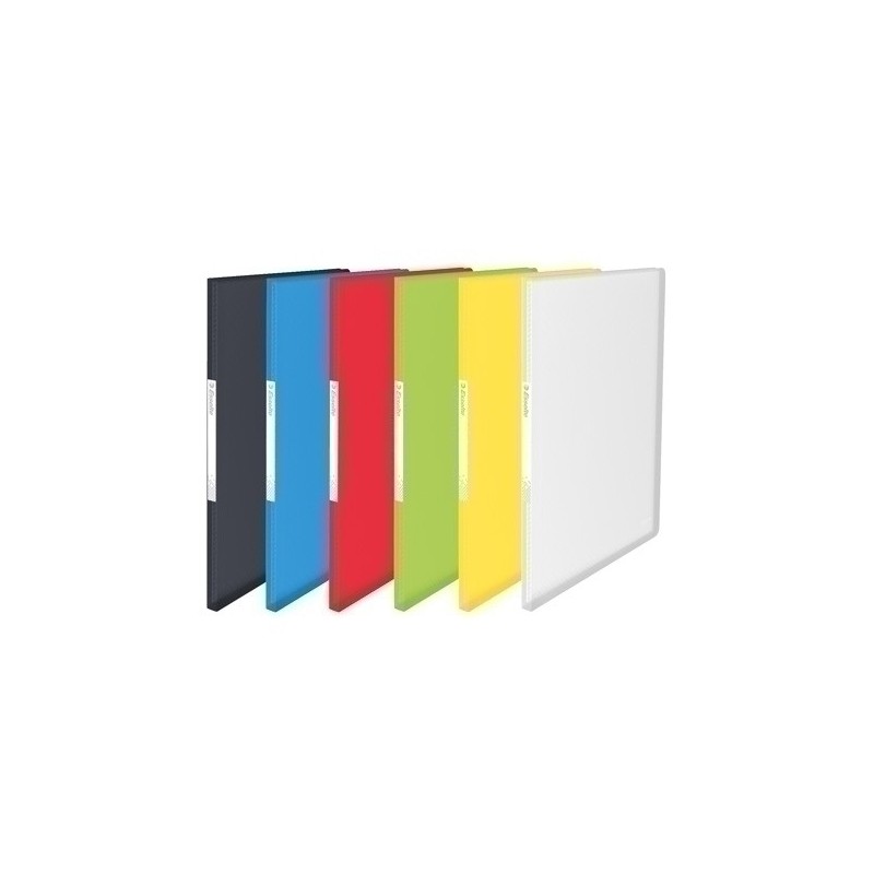 624009-TARIF.ESSELTE PP FLEX.A4 100 F. COL.SUR. precio por 1 unidades