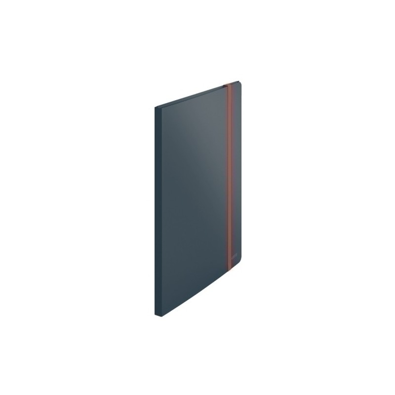 46700089-TARIF.LEITZ COSY PP A4 20 F. GRIS precio por 1 unidades