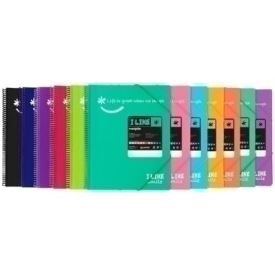 39224084-TARIF.GRAF.PP MAXIPLAS LIKE 2 A4 40F.COR precio por 4 unidades