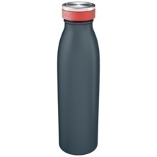 90160089-BOTELLA LEITZ COSY 500ml GRIS precio por 1 unidades