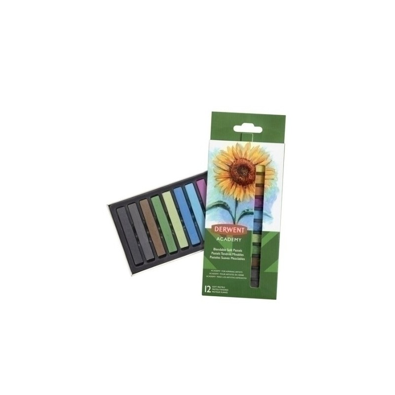 2302397-PASTELES PASTEL DERWENT SUAVE EST.12 precio por 1 unidades