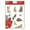 17628-GOMETS APLI (17628) MASCOTAS.Bl.2h precio por 5 unidades