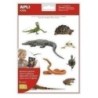 17632-GOMETS APLI (17632) REPTILES.Bl.2h precio por 5 unidades