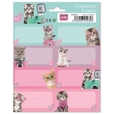ELE0264-ETIQUETA ESCOLAR ERIK 15.8x20 STUDIO PET precio por 1 unidades