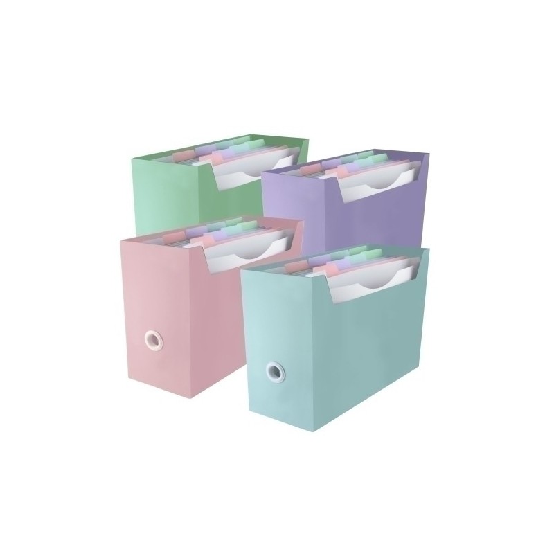 39105-ORGANIZADOR CARP. BLUSH SURT.4 COL precio por 4 unidades