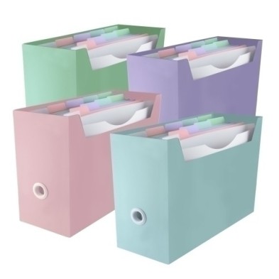 39105-ORGANIZADOR CARP. BLUSH SURT.4 COL precio por 4 unidades