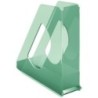 626280-REVISTERO PLASTICO ESS.COLOUR VERDE precio por 10 unidades