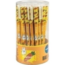83989-BOLIG. CENTRUM CARROT...
