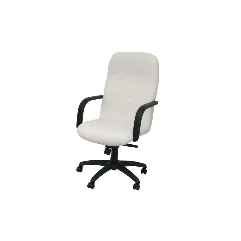 100DBSPBL-SILLA PIQUERAS LETUR DIRECCION SIMIL PIE precio por 1 unidades