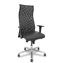 13SXLSPNE-SILLON PIQUERAS...