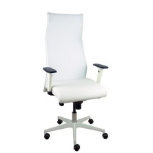 13SM10SP10B354BRP-SILLON...