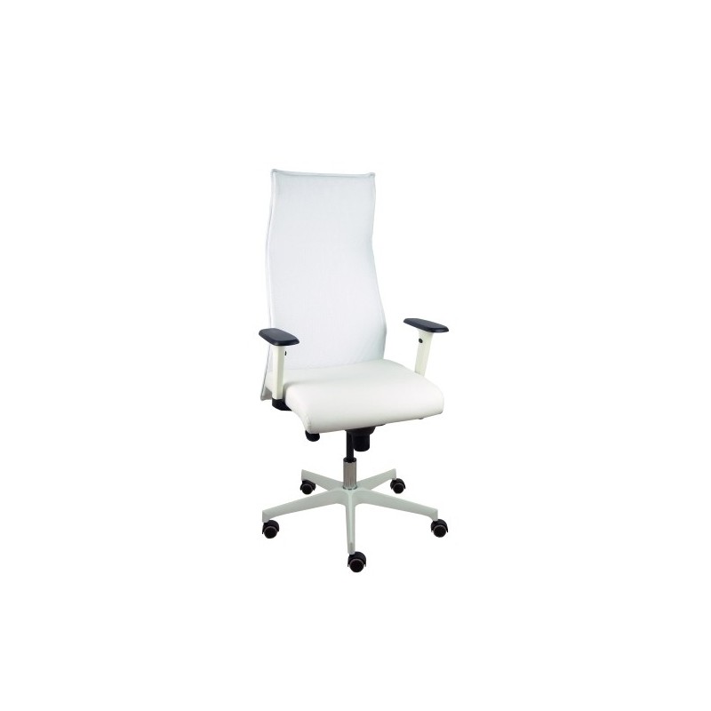 13SM10SP10B354BRP-SILLON PIQUERAS SAHUCO DIREC. S.BLANCO precio por 1 unidades