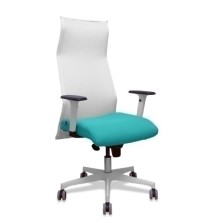 13SM10B39B354BR65G-SILLON...