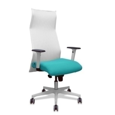 13SM10B39B354BR65G-SILLON PIQUERAS SAHUCO DIREC. B.TURQUESA precio por 1 unidades