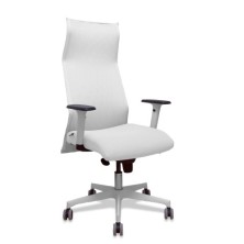 13SM10B10B354BR65G-SILLON...