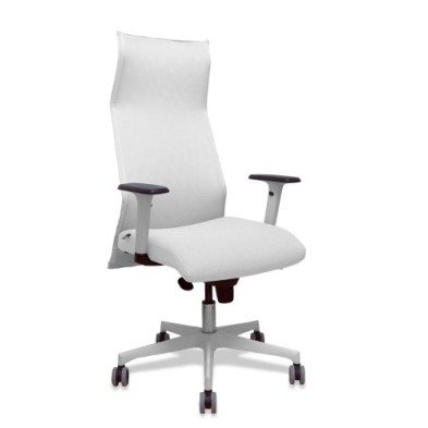 13SM10B10B354BR65G-SILLON PIQUERAS SAHUCO DIREC. B.BLANCO precio por 1 unidades