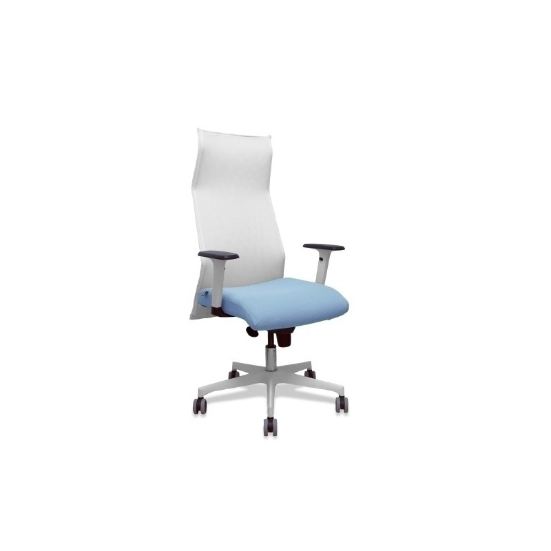 13SM10B13B354BR65G-SILLON PIQUERAS SAHUCO DIREC. B.AZUL CIE precio por 1 unidades