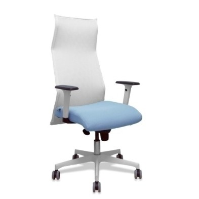 13SM10B13B354BR65G-SILLON PIQUERAS SAHUCO DIREC. B.AZUL CIE precio por 1 unidades