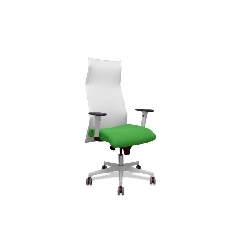 13SM10B15B354BR65G-SILLON PIQUERAS SAHUCO DIREC. B.VERDE precio por 1 unidades