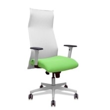 13SM10B22B354BR65G-SILLON...