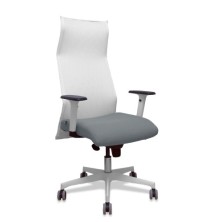 13SM10B220B354BR65G-SILLON...