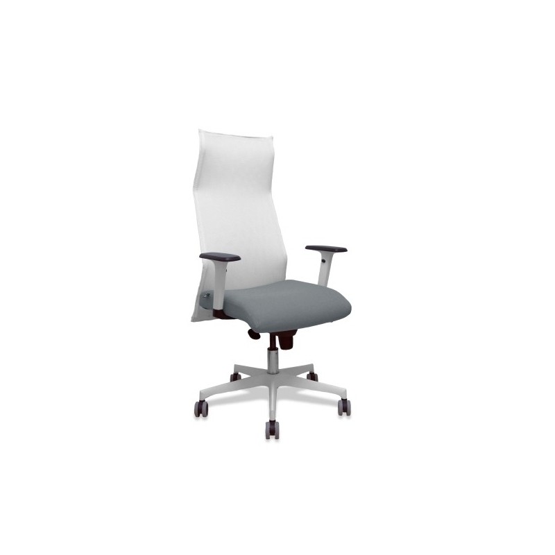 13SM10B220B354BR65G-SILLON PIQUERAS SAHUCO DIREC. B.GRIS precio por 1 unidades