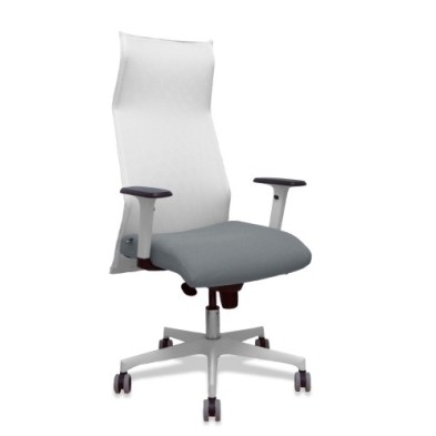 13SM10B220B354BR65G-SILLON PIQUERAS SAHUCO DIREC. B.GRIS precio por 1 unidades