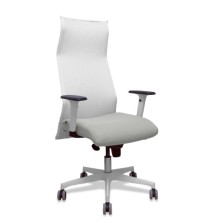 13SM10B40B354BR65G-SILLON...