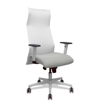 13SM10B40B354BR65G-SILLON PIQUERAS SAHUCO DIREC. B.GRIS CLA precio por 1 unidades