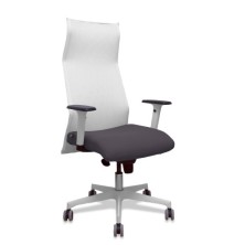 13SM10B600B354BR65G-SILLON...