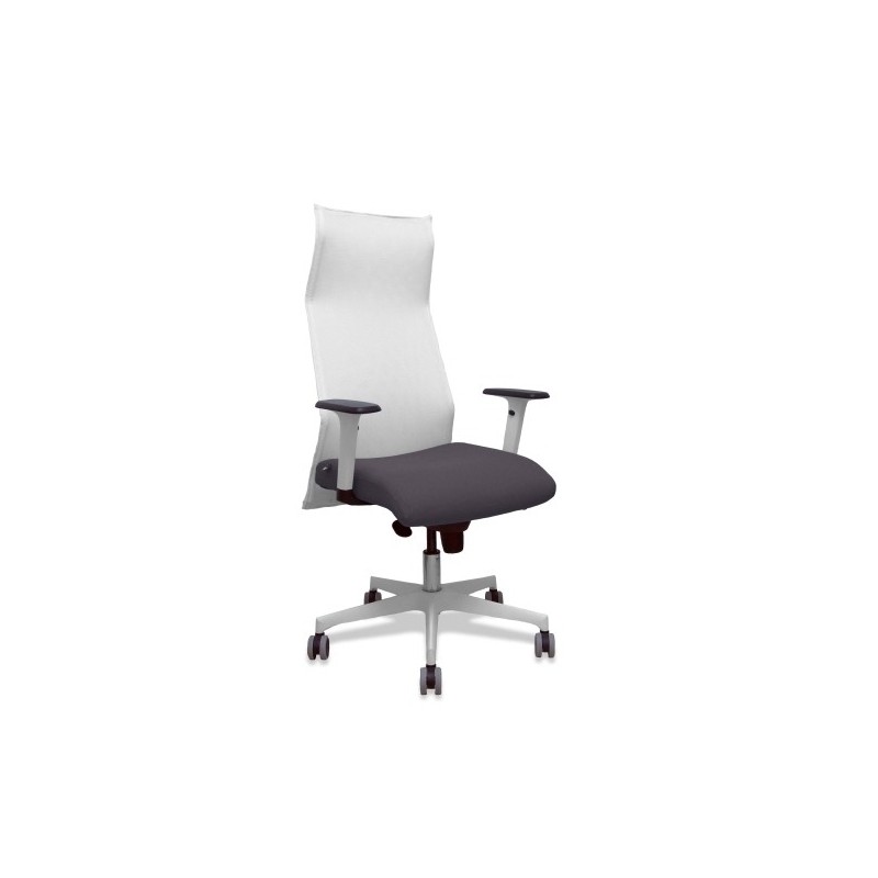 13SM10B600B354BR65G-SILLON PIQUERAS SAHUCO DIREC. B.GRIS OSC precio por 1 unidades
