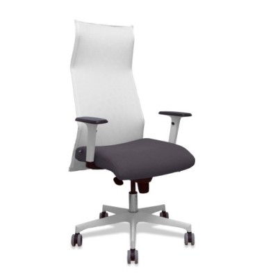 13SM10B600B354BR65G-SILLON PIQUERAS SAHUCO DIREC. B.GRIS OSC precio por 1 unidades