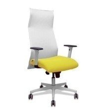 13SM10B100B354BR65G-SILLON...