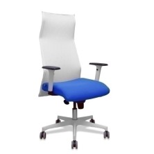 13SM10B229B354BR65G-SILLON...