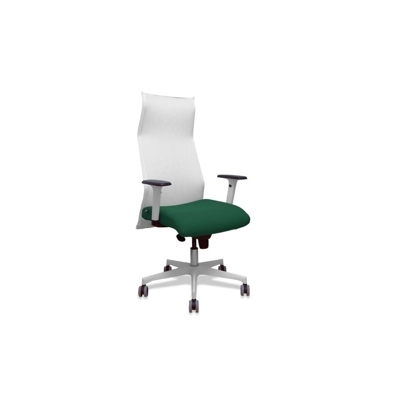 13SM10B426B354BR65G-SILLON PIQUERAS SAHUCO DIREC. B.VERDE BO precio por 1 unidades