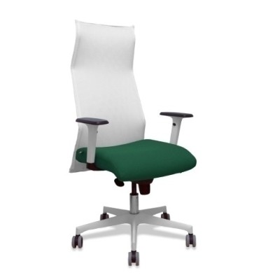 13SM10B426B354BR65G-SILLON PIQUERAS SAHUCO DIREC. B.VERDE BO precio por 1 unidades