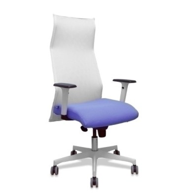 13SM10B261B354BR65G-SILLON PIQUERAS SAHUCO DIREC. B.AZUL CLA precio por 1 unidades
